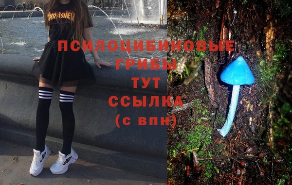 гидропоника Новосибирск