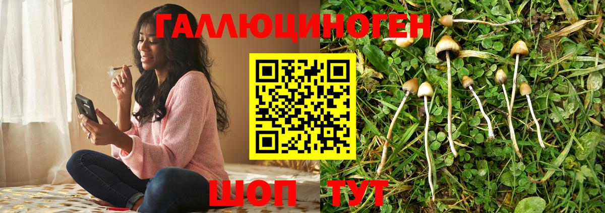 Уварово  Галлюциногенные грибы MAGIC MUSHROOMS  купить наркотики сайты  Галлюциногенные грибы GOLDEN TEACHER  Вход с VPN 
