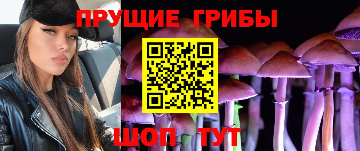 Галлюциногенные грибы GOLDEN TEACHER Уварово